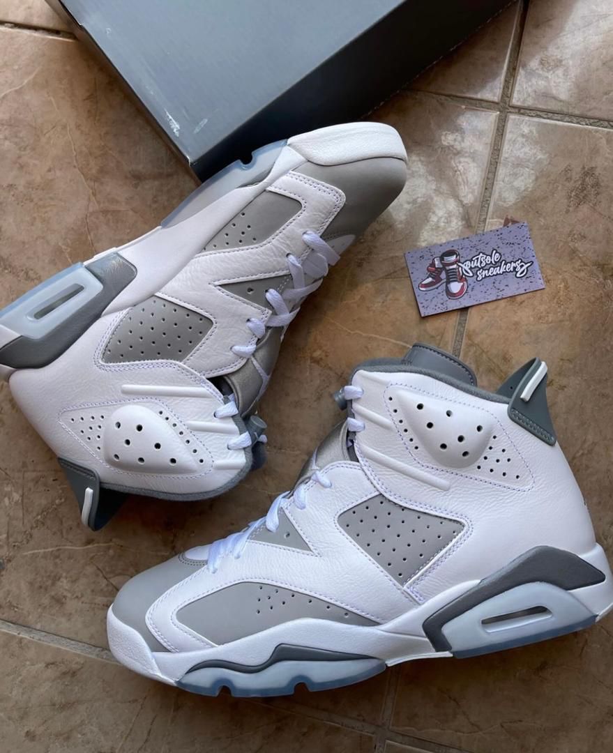Jordan 6 Retro (W & Ash)