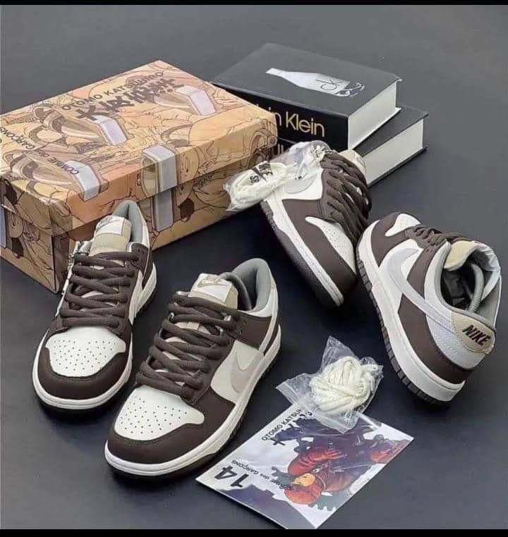 Nike SB Dunks (Brown & W)